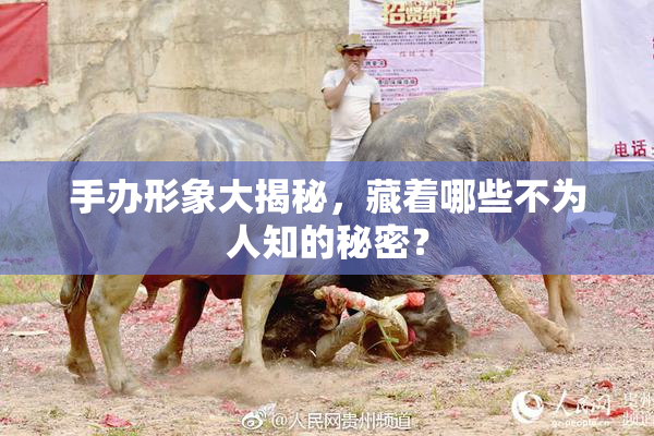 手办形象大揭秘，藏着哪些不为人知的秘密？