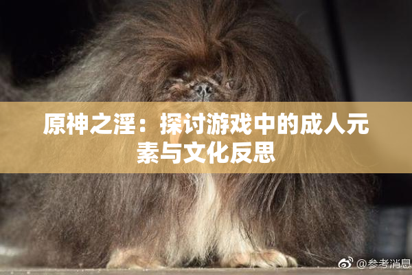 原神之淫：探讨游戏中的成人元素与文化反思