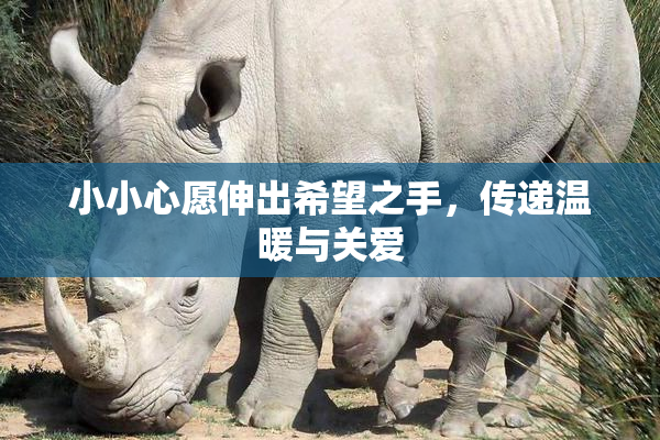 小小心愿伸出希望之手，传递温暖与关爱