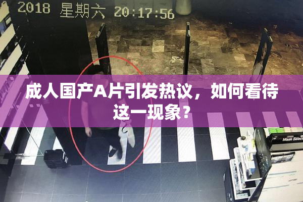 成人国产A片引发热议，如何看待这一现象？