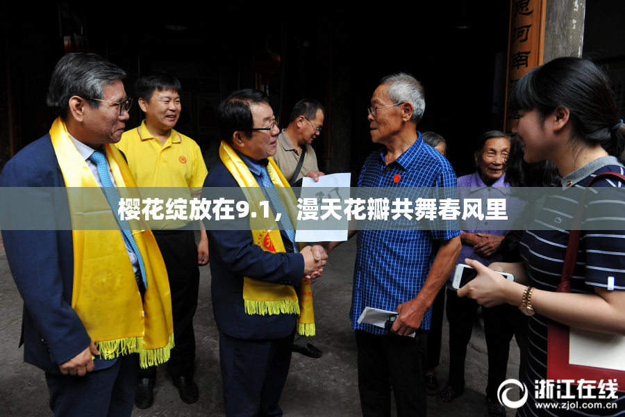 樱花绽放在9.1，漫天花瓣共舞春风里