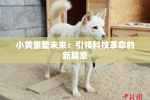 小黄重塑未来：引领科技革命的新篇章
