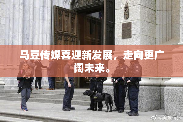 马豆传媒喜迎新发展，走向更广阔未来。