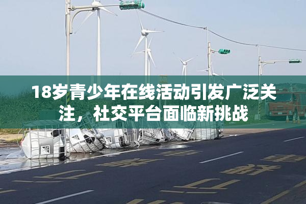 18岁青少年在线活动引发广泛关注，社交平台面临新挑战