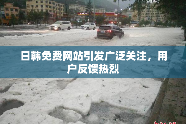 日韩免费网站引发广泛关注，用户反馈热烈