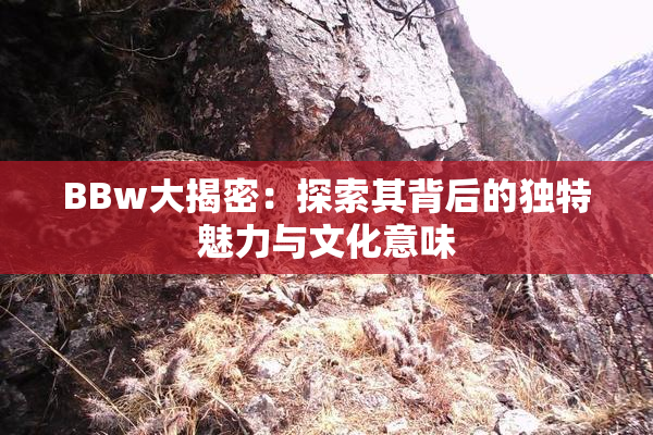 BBw大揭密：探索其背后的独特魅力与文化意味