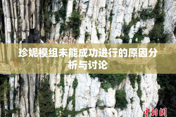 珍妮模组未能成功进行的原因分析与讨论