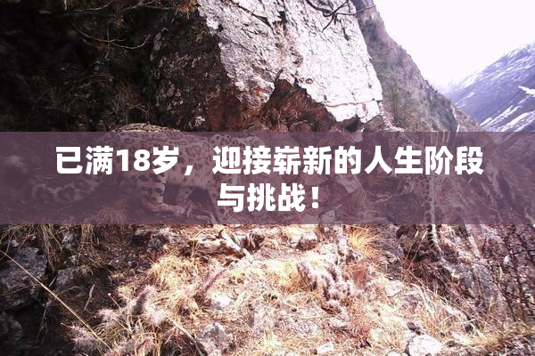 已满18岁，迎接崭新的人生阶段与挑战！
