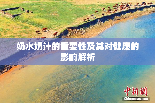 奶水奶汁的重要性及其对健康的影响解析