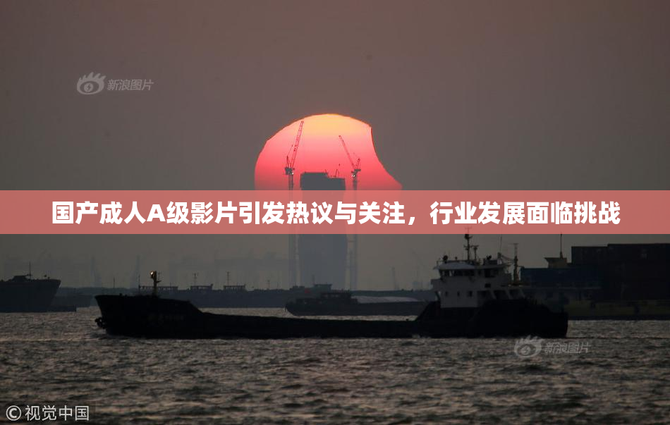 国产成人A级影片引发热议与关注，行业发展面临挑战