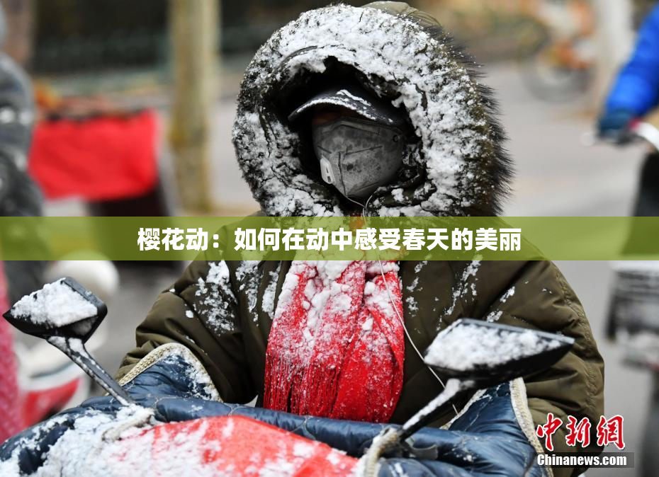 樱花动：如何在动中感受春天的美丽