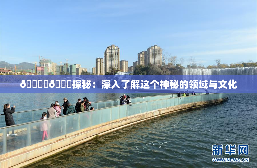🔞‌🍌探秘：深入了解这个神秘的领域与文化