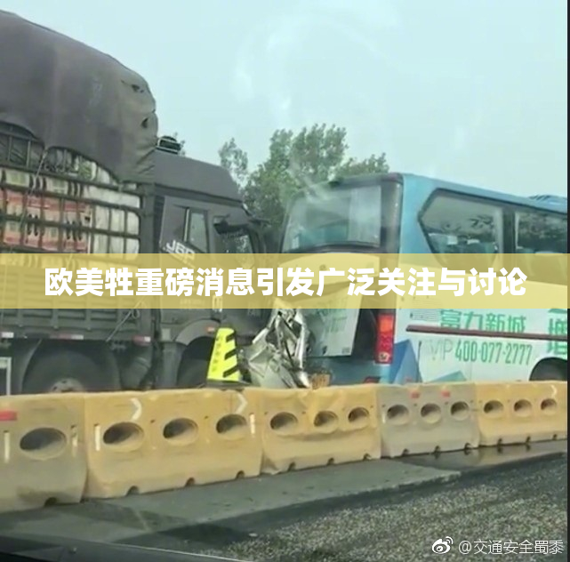 欧美牲重磅消息引发广泛关注与讨论