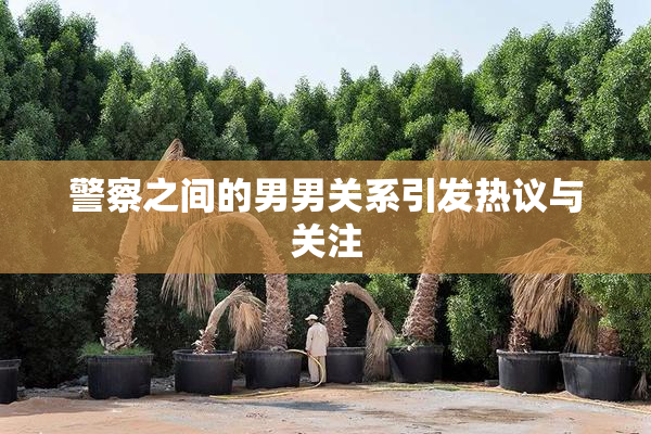 警察之间的男男关系引发热议与关注