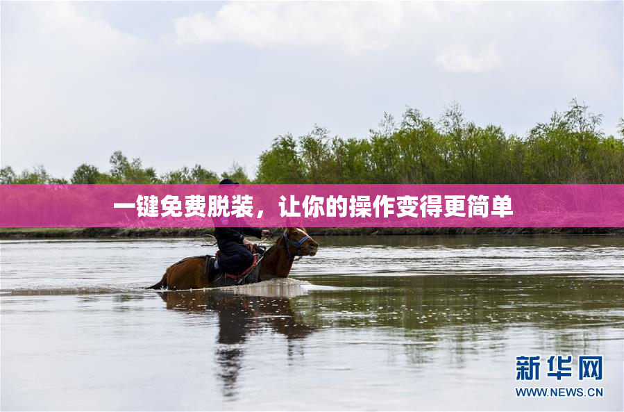 一键免费脱装，让你的操作变得更简单