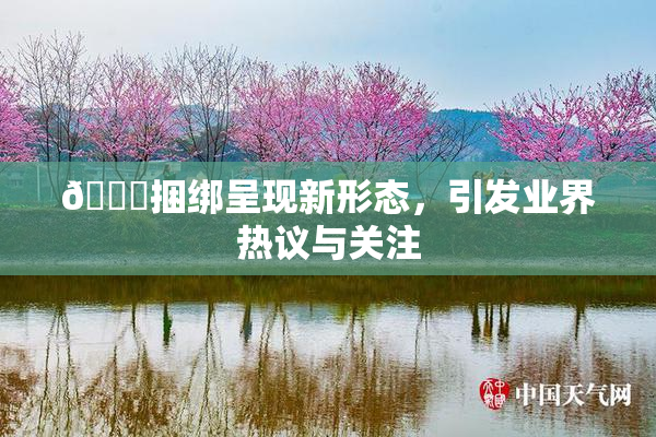 🔞捆绑呈现新形态，引发业界热议与关注