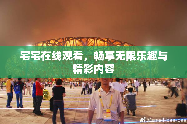 宅宅在线观看，畅享无限乐趣与精彩内容