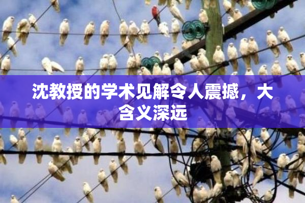 沈教授的学术见解令人震撼，大含义深远