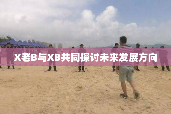 X老B与XB共同探讨未来发展方向