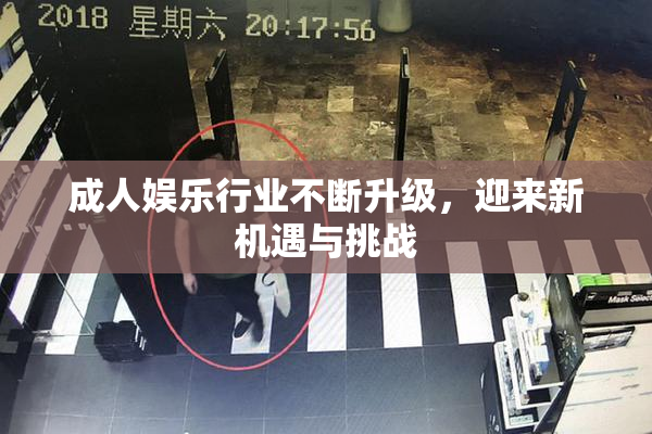 成人娱乐行业不断升级，迎来新机遇与挑战