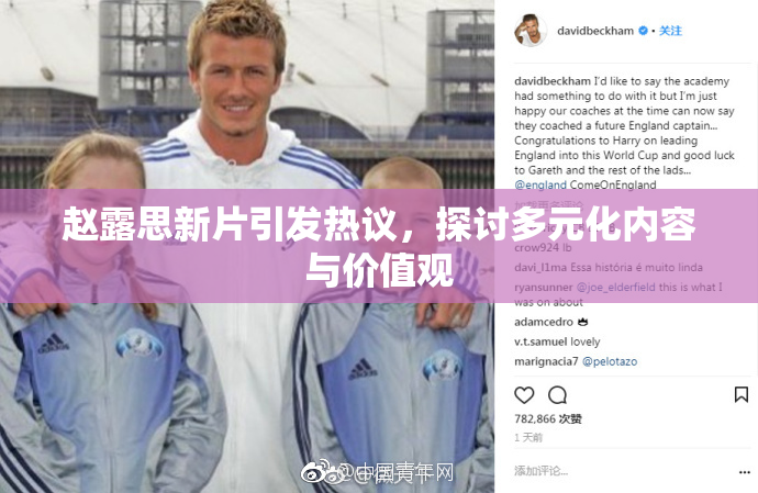 赵露思新片引发热议，探讨多元化内容与价值观