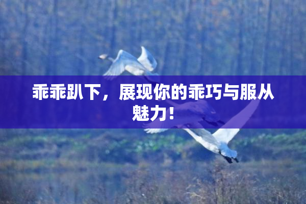 乖乖趴下，展现你的乖巧与服从魅力！