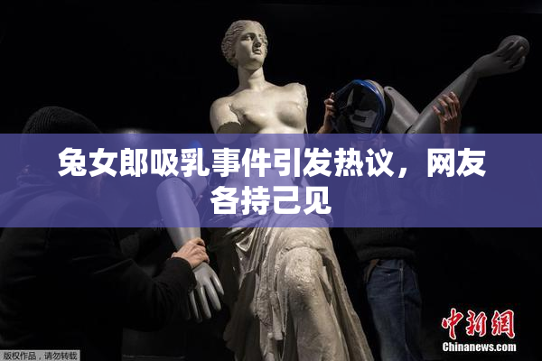 兔女郎吸乳事件引发热议，网友各持己见