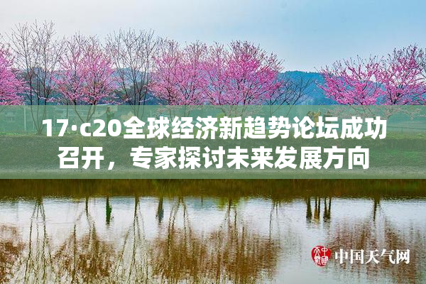 17·c20全球经济新趋势论坛成功召开，专家探讨未来发展方向