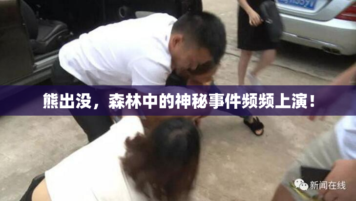 熊出没，森林中的神秘事件频频上演！