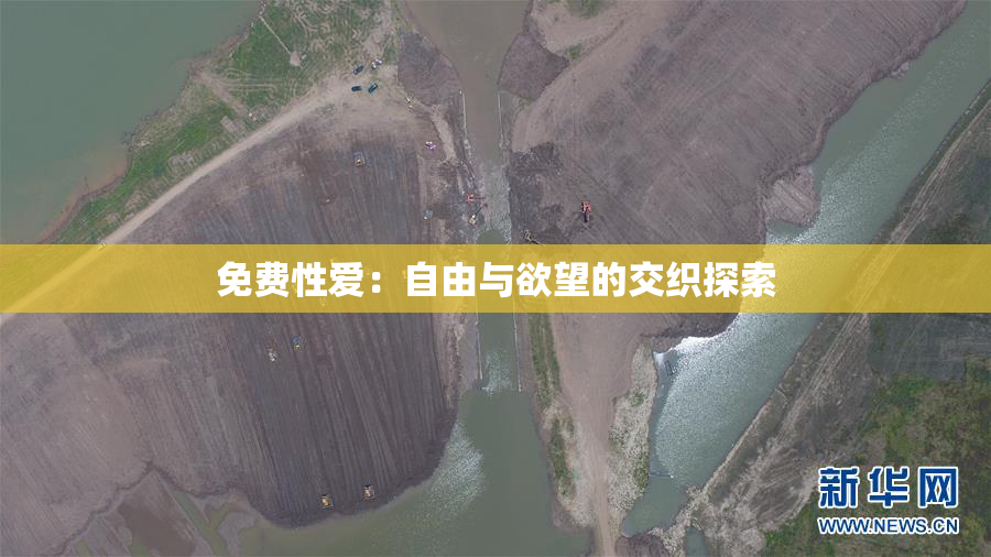 免费性爱：自由与欲望的交织探索