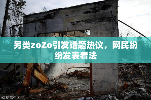 另类zoZo引发话题热议，网民纷纷发表看法