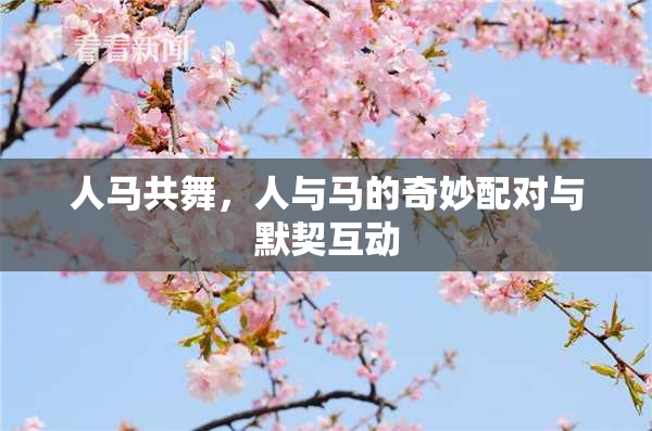人马共舞，人与马的奇妙配对与默契互动