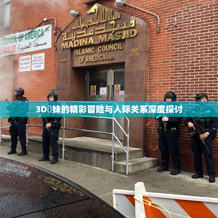 3D姉妹的精彩冒险与人际关系深度探讨