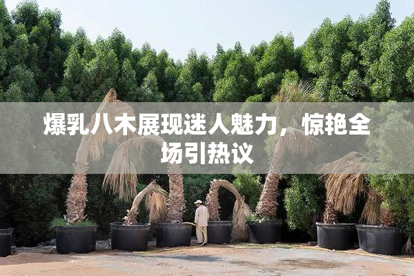 爆乳八木展现迷人魅力，惊艳全场引热议