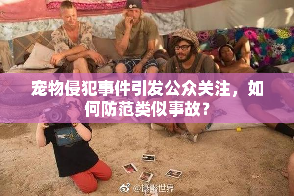 宠物侵犯事件引发公众关注，如何防范类似事故？