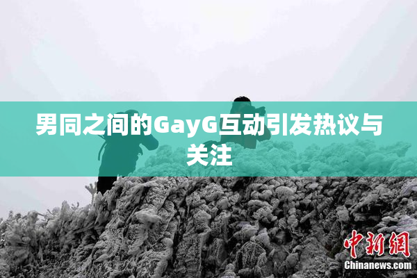 男同之间的GayG互动引发热议与关注