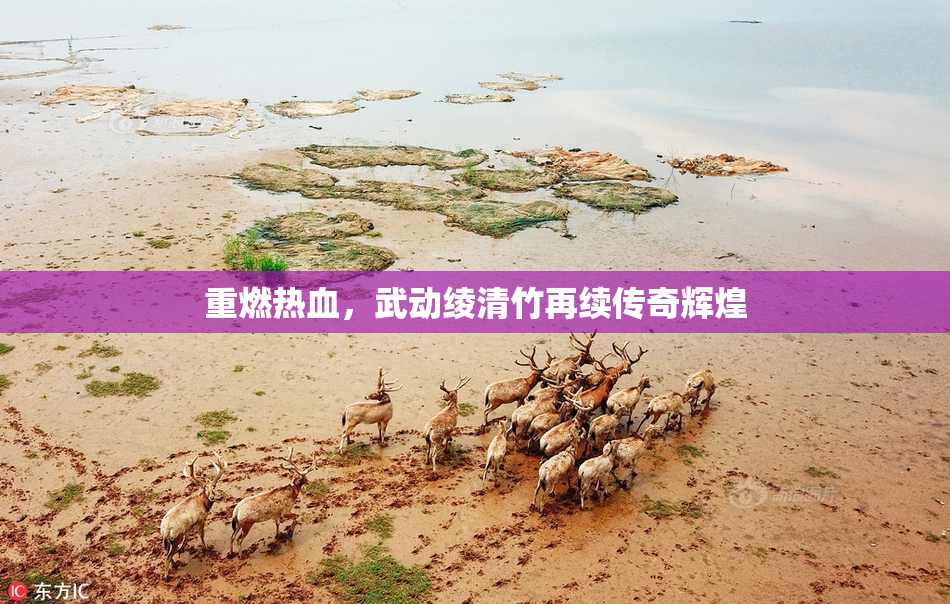 重燃热血，武动绫清竹再续传奇辉煌