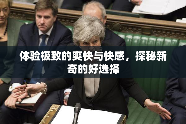 体验极致的爽快与快感，探秘新奇的好选择