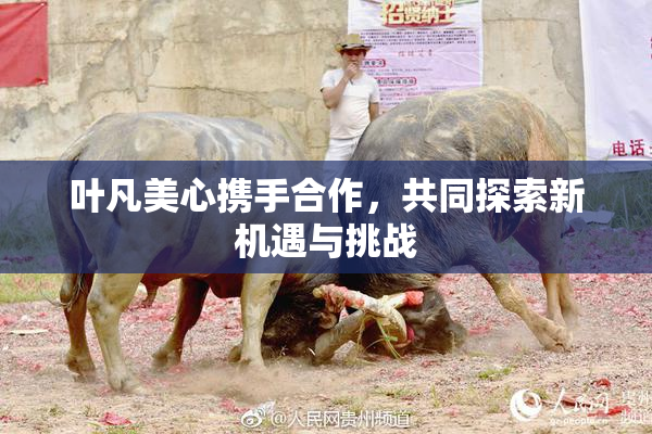 叶凡美心携手合作，共同探索新机遇与挑战
