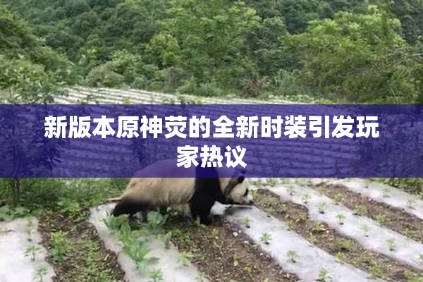 新版本原神荧的全新时装引发玩家热议