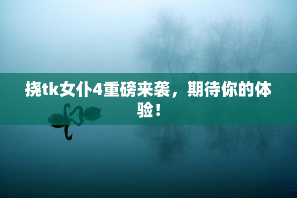 挠tk女仆4重磅来袭，期待你的体验！