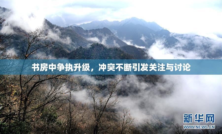 书房中争执升级，冲突不断引发关注与讨论