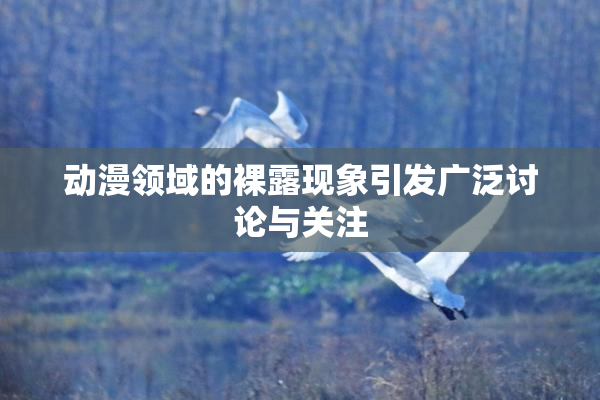 动漫领域的裸露现象引发广泛讨论与关注