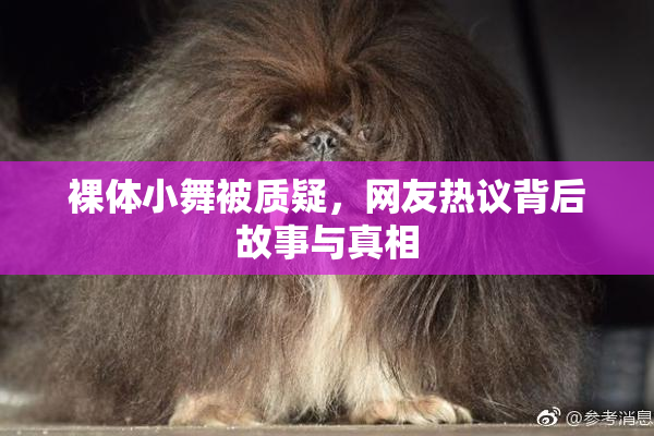 裸体小舞被质疑，网友热议背后故事与真相