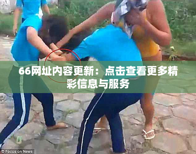 66网址内容更新：点击查看更多精彩信息与服务