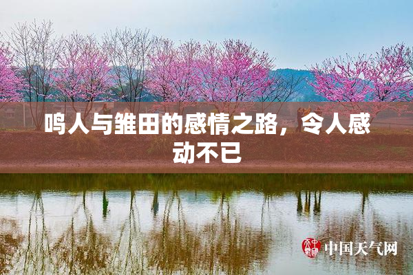 鸣人与雏田的感情之路，令人感动不已