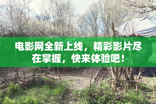 电影网全新上线，精彩影片尽在掌握，快来体验吧！