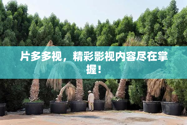片多多视，精彩影视内容尽在掌握！