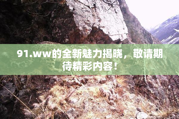 91.ww的全新魅力揭晓，敬请期待精彩内容！