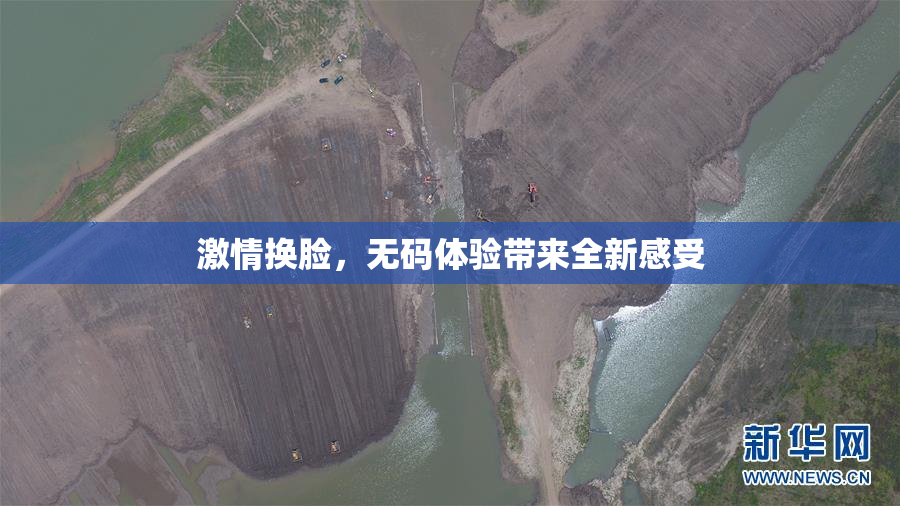 激情换脸，无码体验带来全新感受
